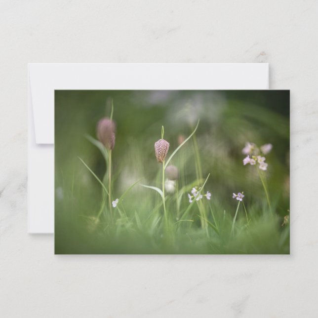 Chess Flower Nature Photo Card (Front)