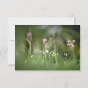 Chess Flower Nature Photo Card