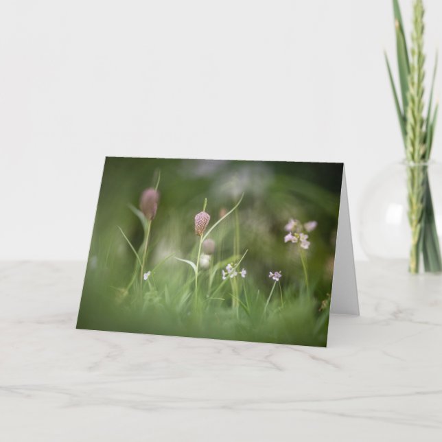 Chess Flower Nature Photo Card (Front)