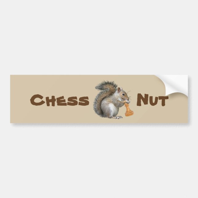 Chess Nut Bumper Sticker (Front)