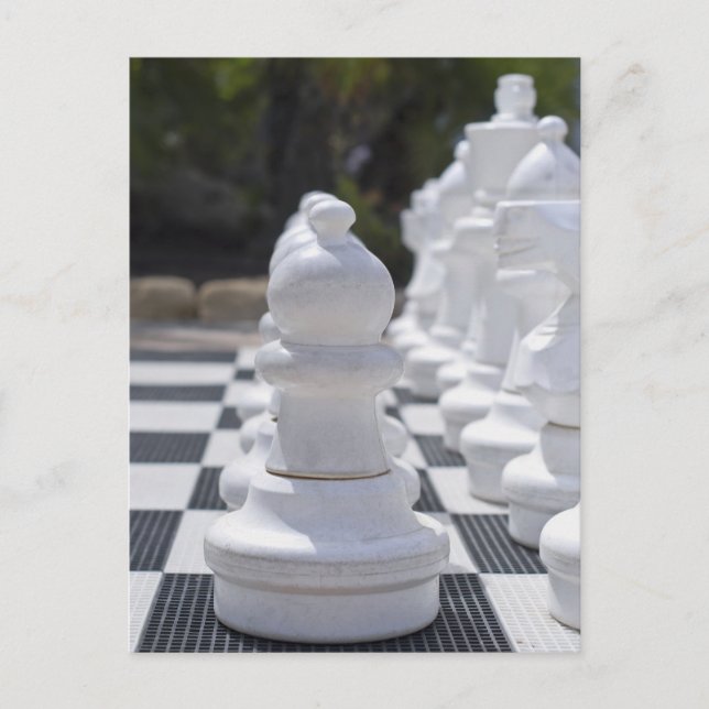 Chess Postcard (Front)