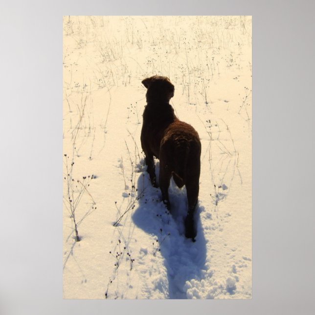 Chessie Poster (Front)