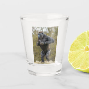 Chest Beating Gorilla Shot Glass