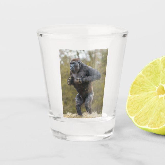 Chest Beating Gorilla Shot Glass (Front)