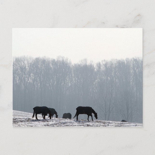 Chester County, Pa Postcard (Front)