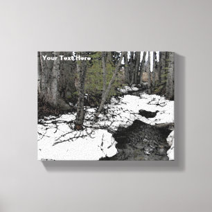 Chester Creek Two Canvas Print