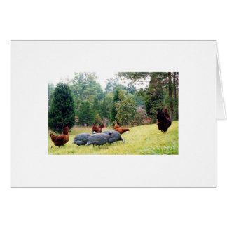 Chester & His Army On Patrol