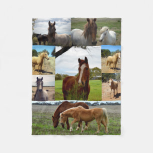 Chestnut And Arab Horses In A Picture Collage, Fleece Blanket