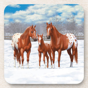 Chestnut Appaloosa Sorrel Quarter Horses in Snow Coaster
