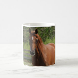 Chestnut Arabian Horse Mug