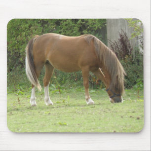 Chestnut Brown Horse Grazing Mousepad