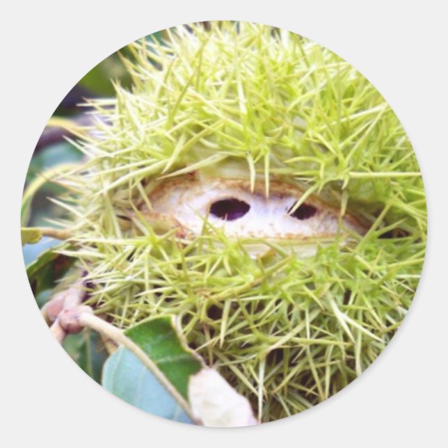 Chestnut Classic Round Sticker (Front)
