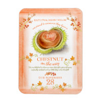 Chestnut fall baby pregnancy announcement