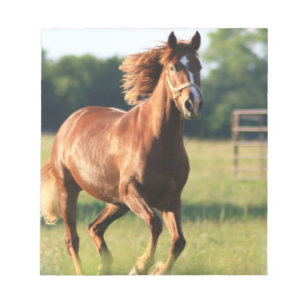 Chestnut Galloping Horse Notepad
