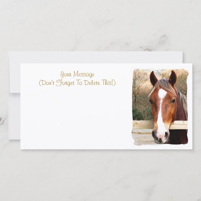 CHESTNUT HORSE CARD (Front)