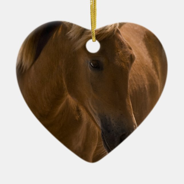 Chestnut Horse Design Ornament (Front)