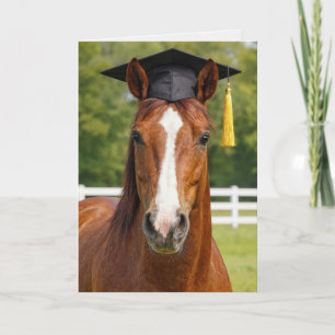 Chestnut Horse Graduate Card