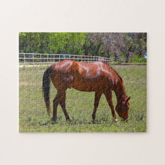 Chestnut Horse in a Field Jigsaw Puzzle