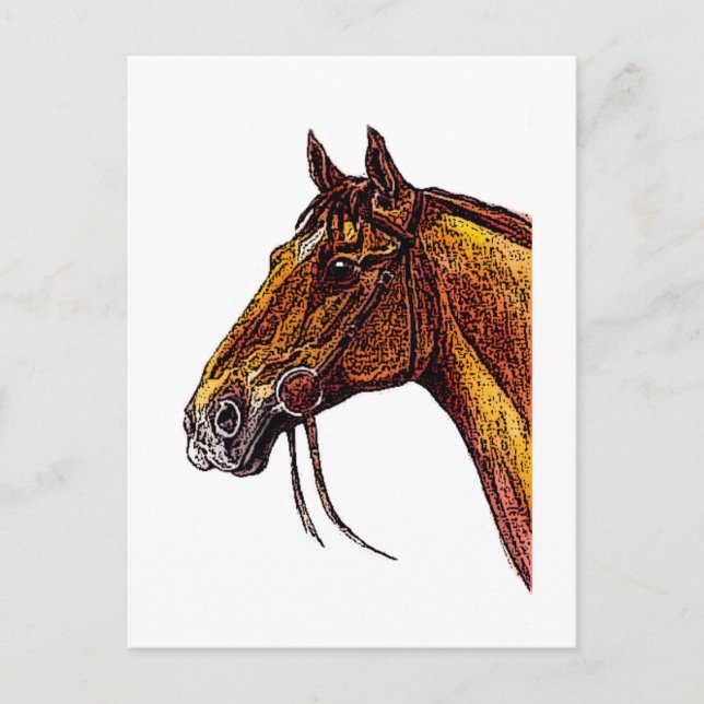 Chestnut Horse Ink Postcard (Front)