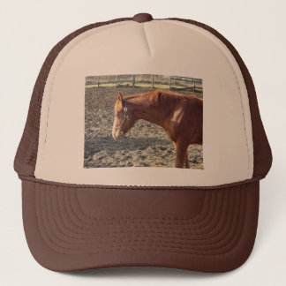 Chestnut Horse Love Trucker Hat