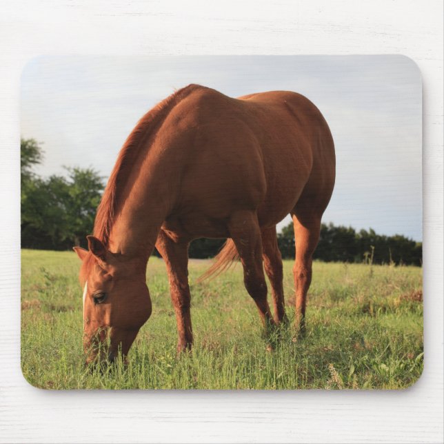 Chestnut Horse Mousepad (Front)