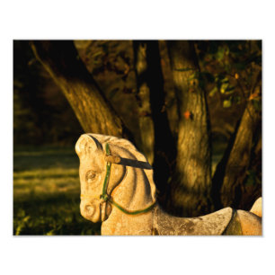 Chestnut Horse Photo Print