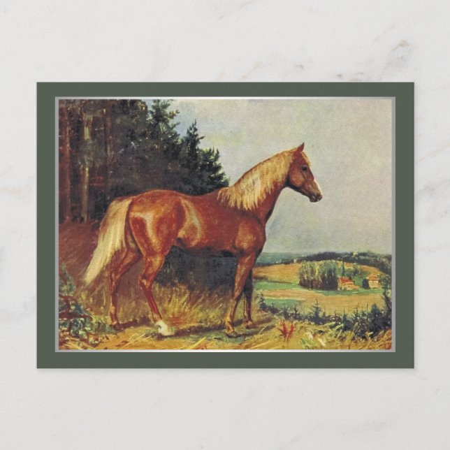 Chestnut Horse Postcard (Front)