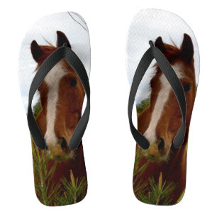 Chestnut Horse Sniffing A Banksia Tree, Jandals