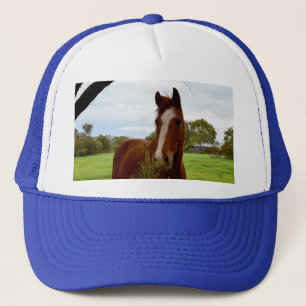 Chestnut Horse Sniffing A Banksia Tree, Trucker Hat