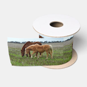 Chestnut Mare And Palomino Foal, Satin Ribbon