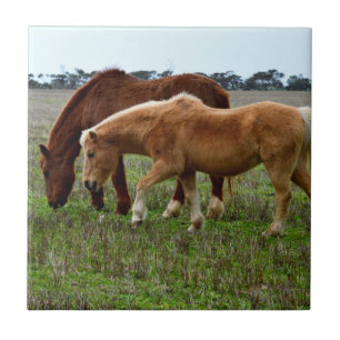 Chestnut Mare And Palomino Foal, Tile