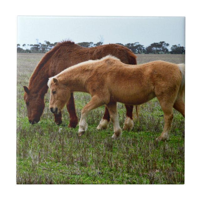 Chestnut Mare And Palomino Foal, Tile (Front)
