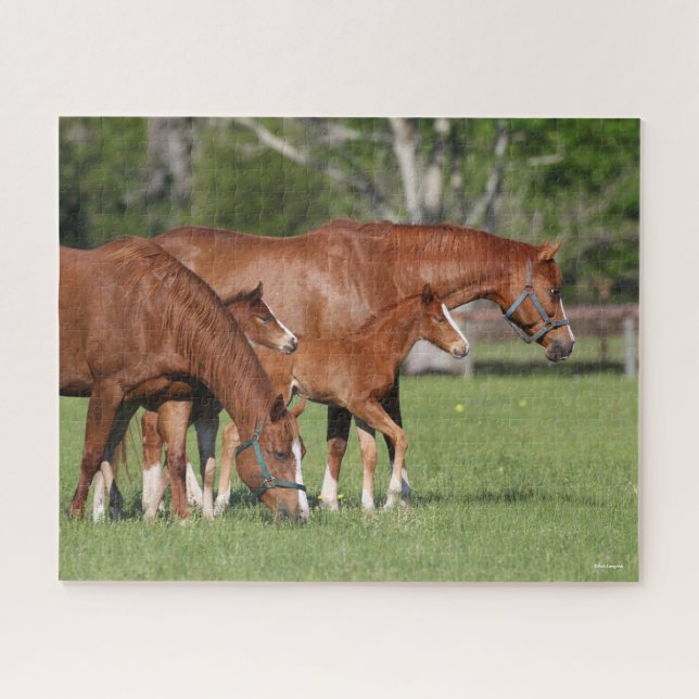 Chestnut Quarter Horse Mares and Foals Jigsaw Puzzle (Horizontal)
