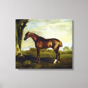 Chestnut Racehorse in a Landscape (George Stubbs) Canvas Print