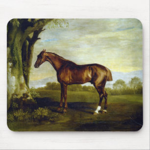 Chestnut Racehorse in a Landscape (George Stubbs) Mouse Pad