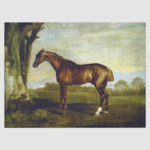 Chestnut Racehorse in a Landscape (George Stubbs) Tissue Paper