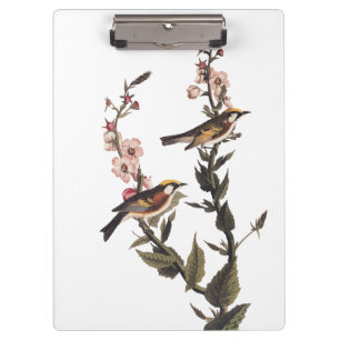 Chestnut-Sided Warbler Audubon Bird on Wildflower Clipboard