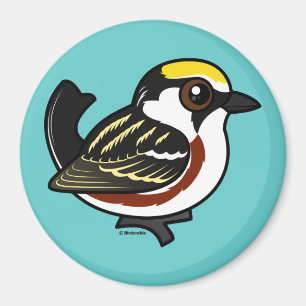 Chestnut-sided Warbler Magnet