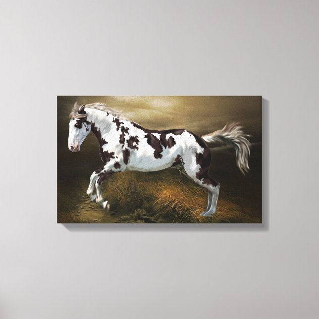 Chestnut Splash Frame Tovero Paint Horse Canvas Print (Front)