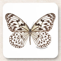 Chestnut Tiger Butterfly