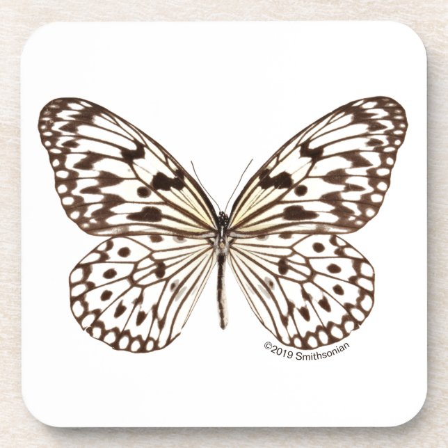 Chestnut Tiger Butterfly Coaster (Front)