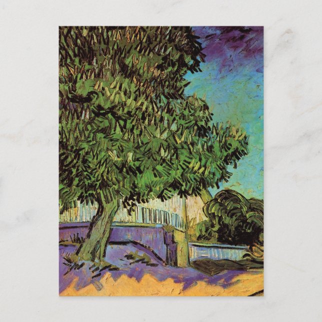 Chestnut Tree in Blossom by Vincent van Gogh Postcard (Front)