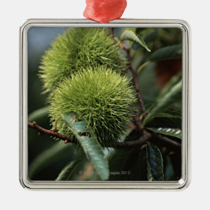 Chestnut Tree Metal Tree Decoration