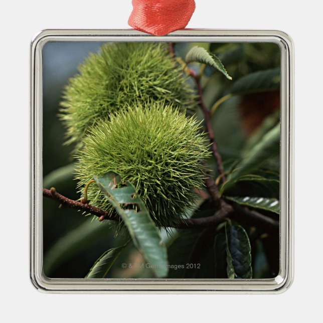 Chestnut Tree Metal Tree Decoration (Front)