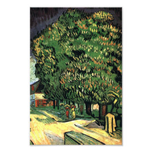 Chestnut Trees in Blossom - Gogh Photo Print