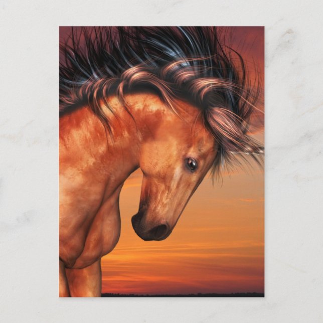 Chestnut Unicorn  Postcard (Front)
