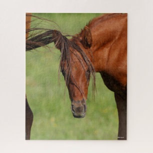 Chestnut Warmblood Foal with Tail On Head Jigsaw Puzzle