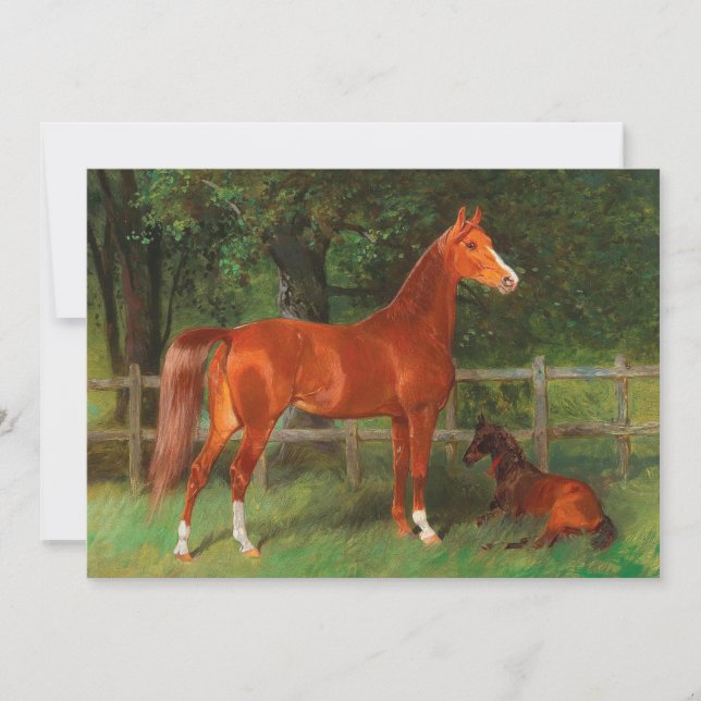 Chestnut with Foal in the Meadow | Hans Haag (Front)