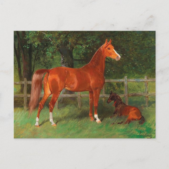 Chestnut with Foal in the Meadow | Hans Haag Postcard (Front)