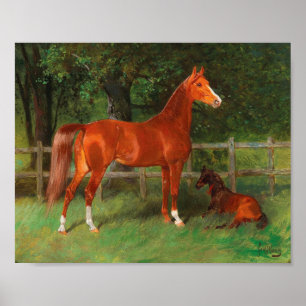Chestnut with Foal in the Meadow   Hans Haag Poster